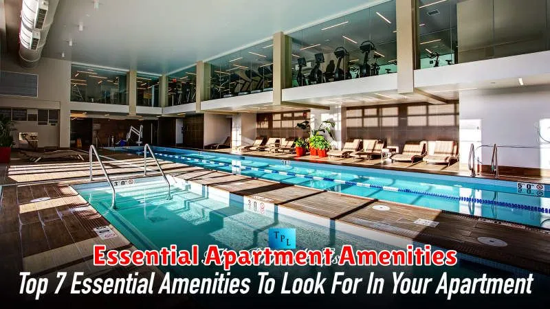 Essential Apartment Amenities