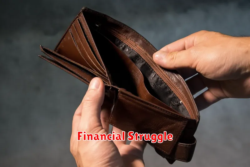 Financial Struggle