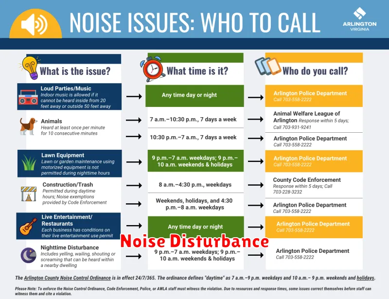 Noise Disturbance