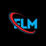 FLM Pakistan company logo