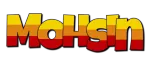 Mohsin & Huma Mass IT Training company logo