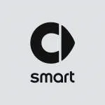 Smart Placement company logo