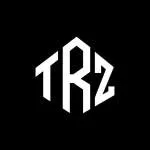 TRZ Technologies company logo