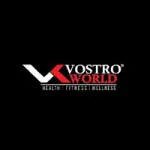 Vostro World company logo