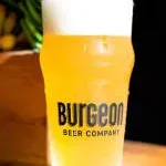 Burgeon company logo