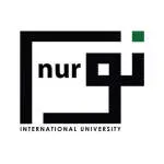 NUR International University company logo