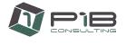 PIB Consultants company logo