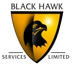 Black Hawk Consultancy company logo