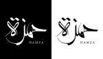 Hamza Ahmad company logo