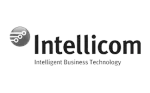 Intellicom Solutions company logo