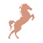 Stallion Digital Marketing company logo