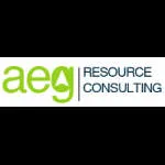 AEG Consulting company logo