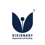 Visionary Merger company logo