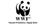 WWF-Pakistan company icon